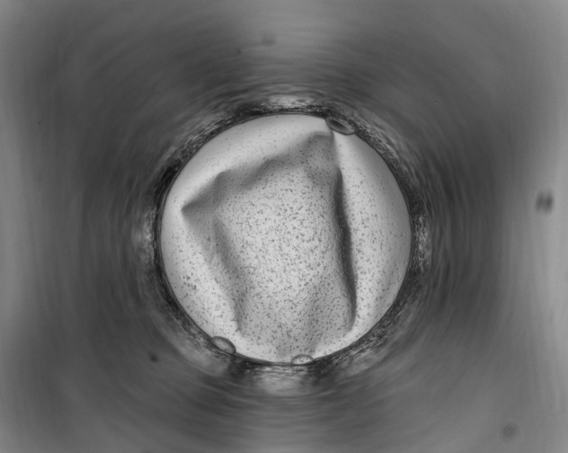 X0000099560373200806061545