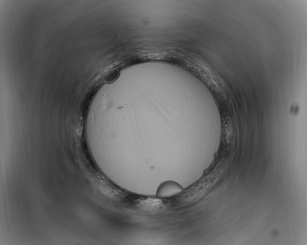 X0000099560374200806061545