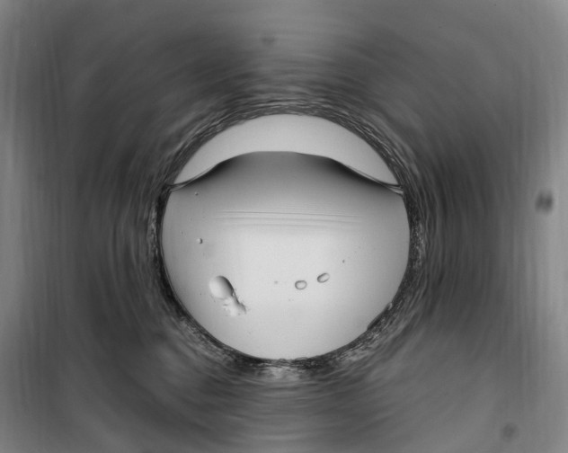 X0000099560376200806061545