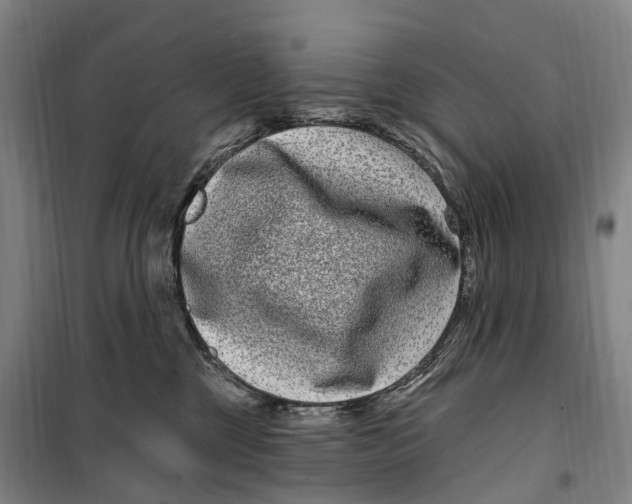 X0000099560377200806061545