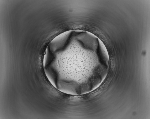 X0000099560378200806061545