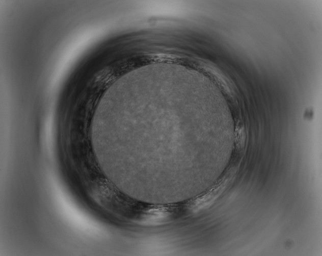 X0000099560381200806061545