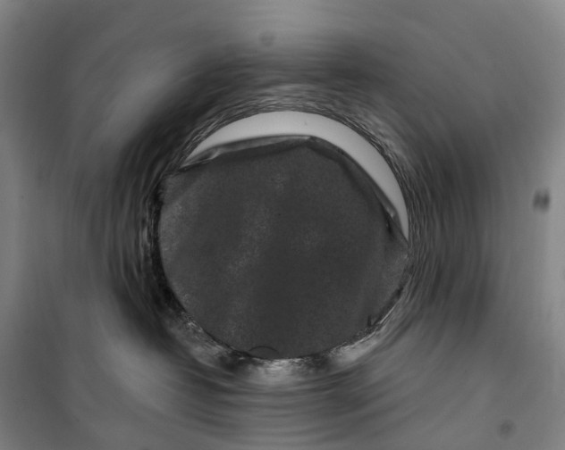 X0000099560382200806061545