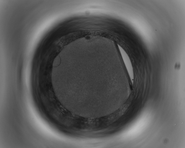 X0000099560383200806061545