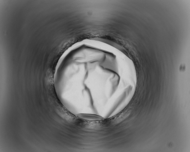 X0000099560384200806061545