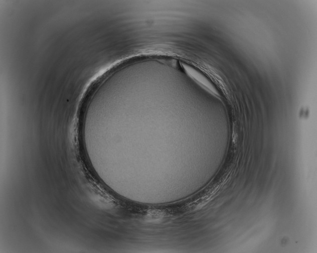 X0000099560388200806061544