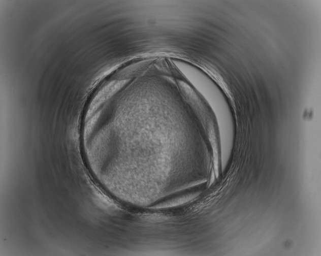 X0000099560389200806061544