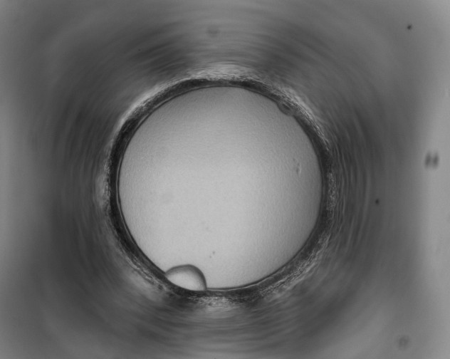 X0000099560392200806061544