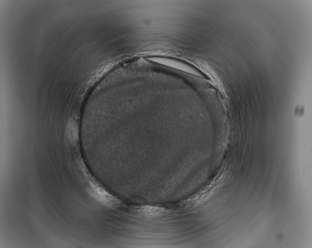 X0000099560393200806061544