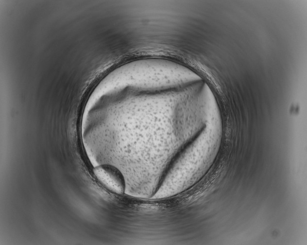 X0000099560394200806061544