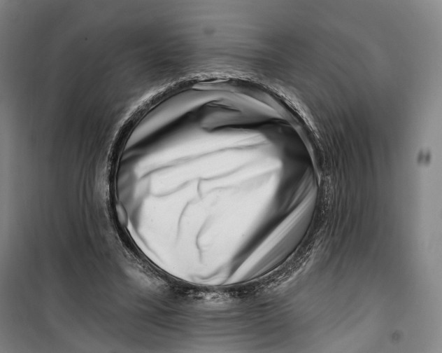 X0000099560395200806061544