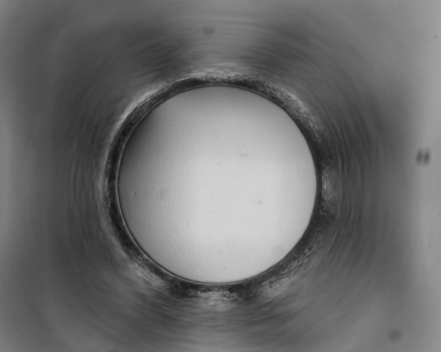 X0000099560396200806061544