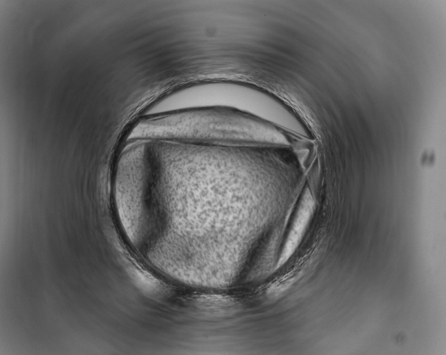 X0000099560397200806061544