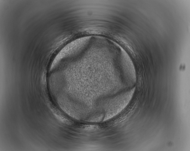 X0000099560398200806061544