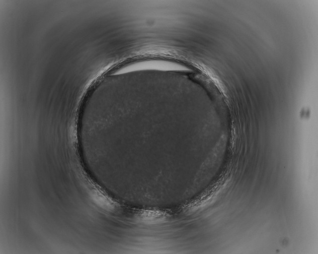 X0000099560399200806061544