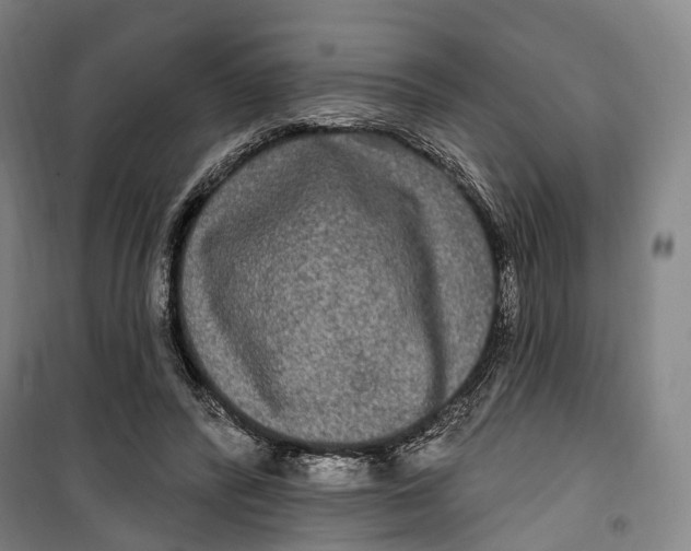 X0000099560400200806061544