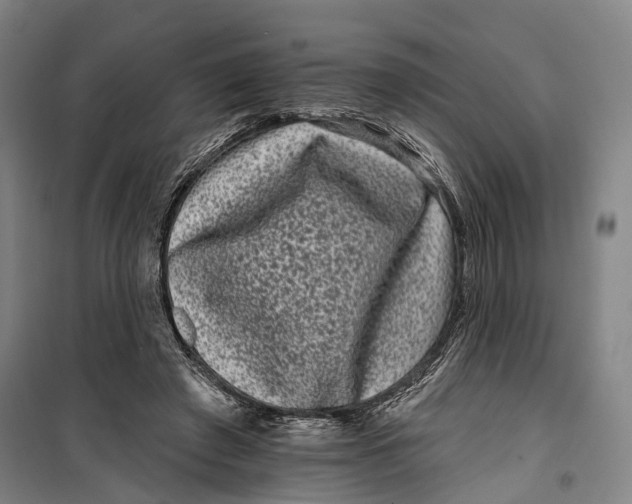 X0000099560401200806061544