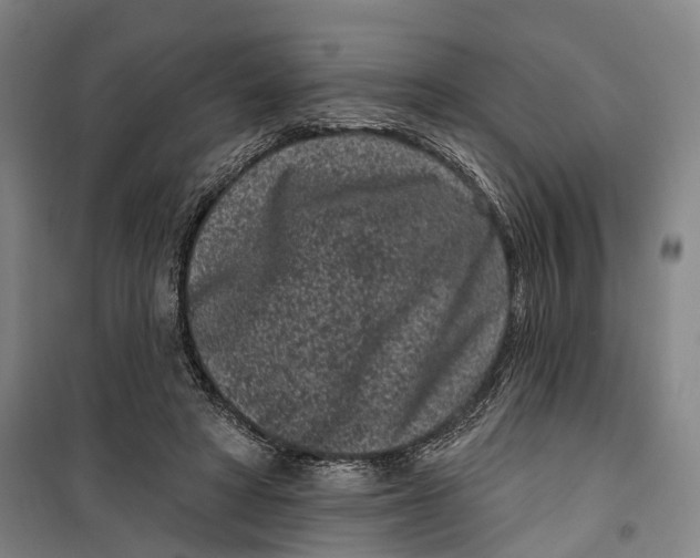 X0000099560402200806061544