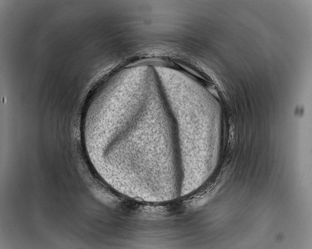 X0000099560403200806061544