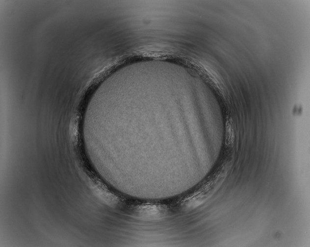 X0000099560404200806061544