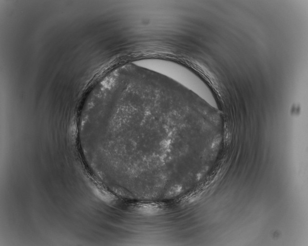 X0000099560405200806061544