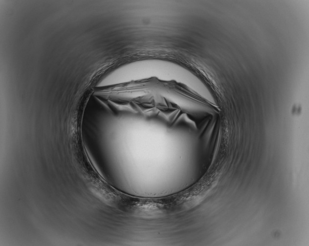 X0000099560407200806061544