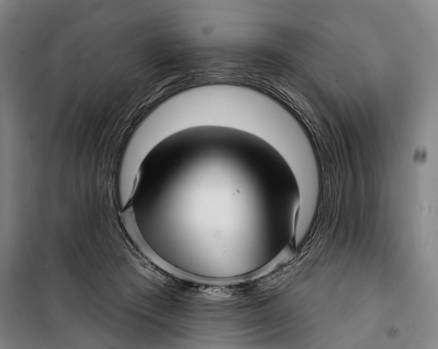 X0000099560409200806061544