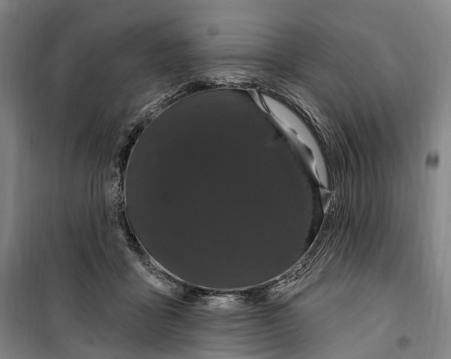 X0000099560411200806061544