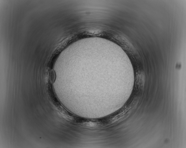 X0000099560412200806061544