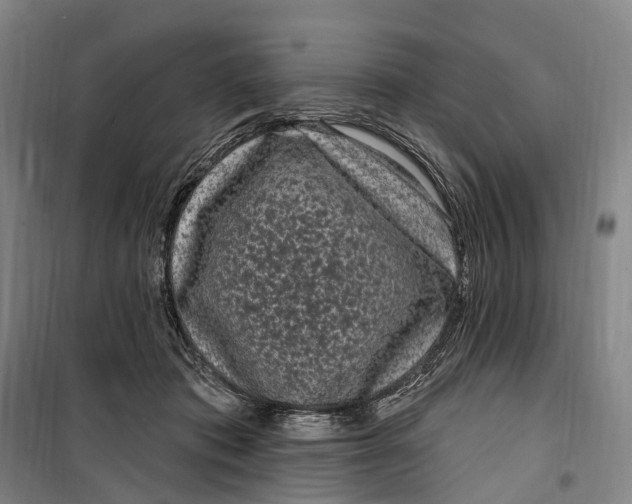 X0000099560413200806061544