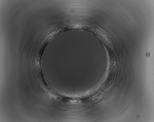 X0000099560415200806061544