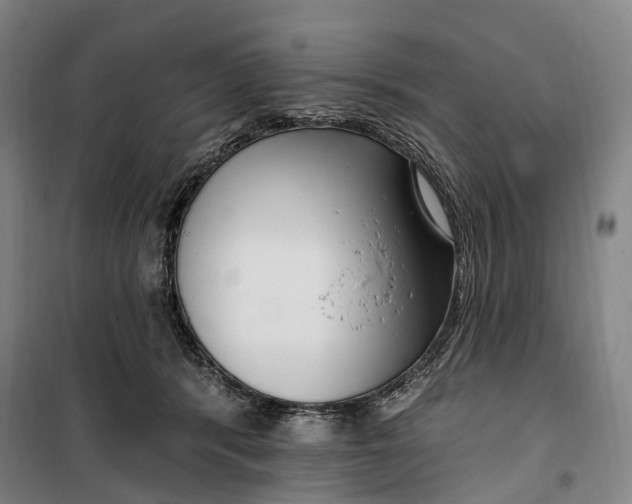 X0000099560416200806061544