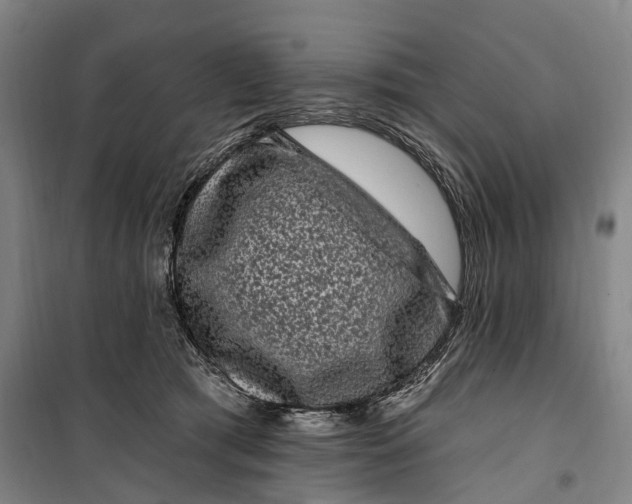 X0000099560417200806061544