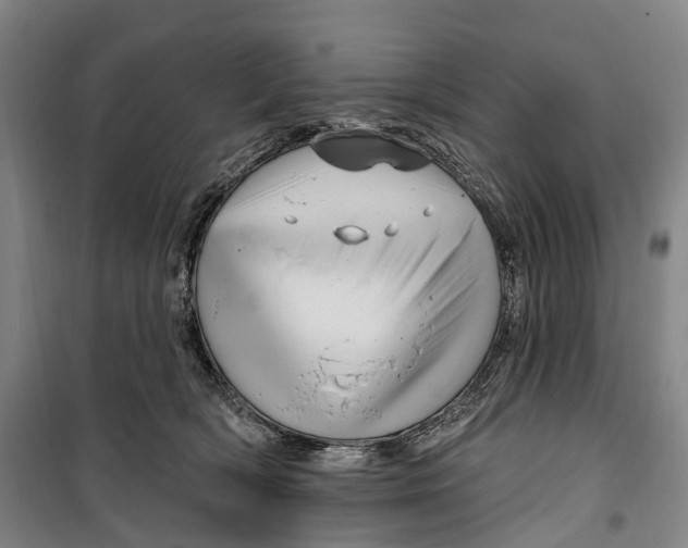 X0000099560418200806061544