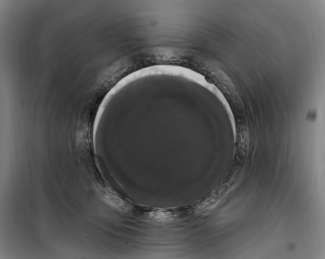 X0000099560419200806061544