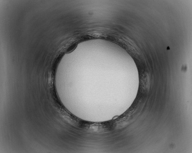 X0000099560420200806061544