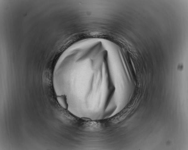 X0000099560421200806061544