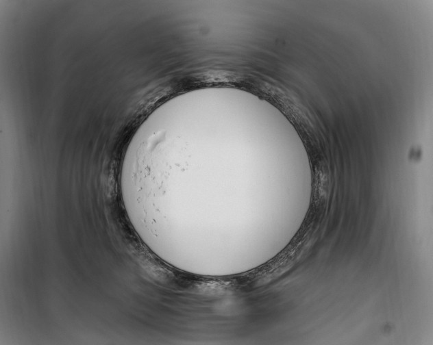 X0000099560422200806061544