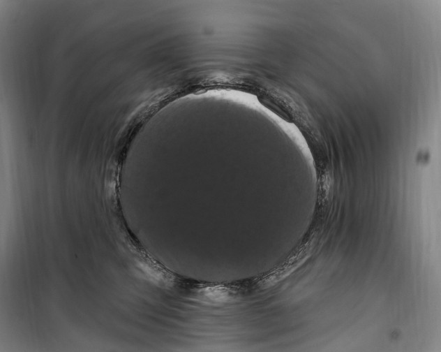 X0000099560423200806061544