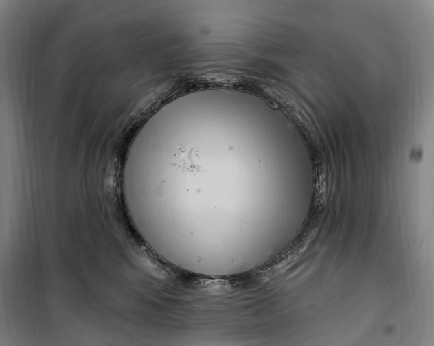 X0000099560424200806061544