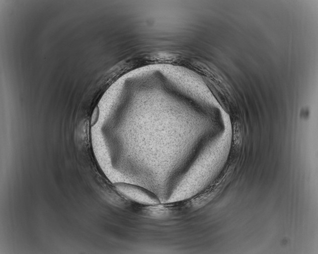 X0000099560425200806061544