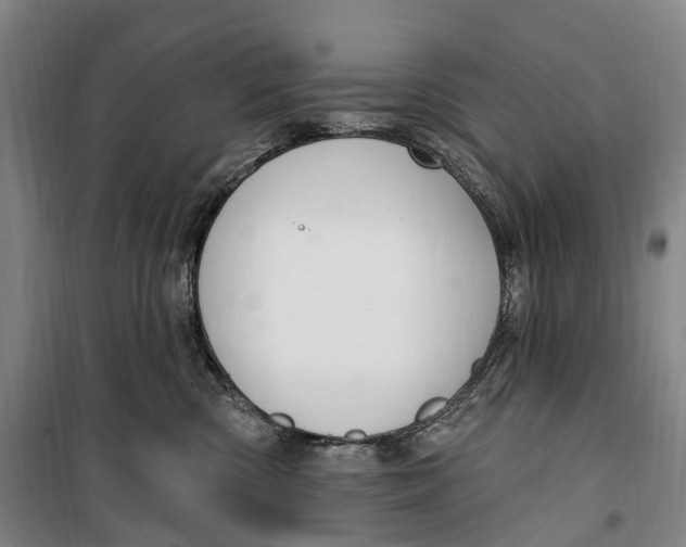 X0000099560426200806061544