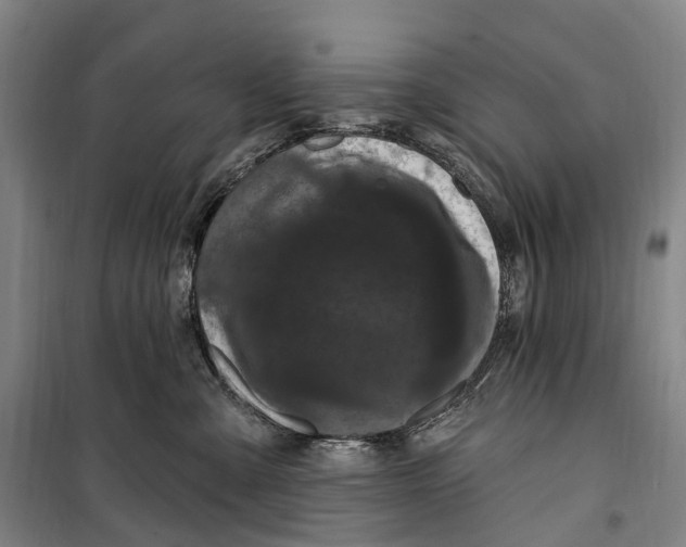 X0000099560427200806061544