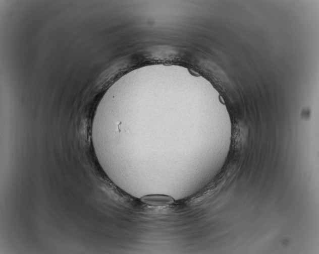 X0000099560428200806061544