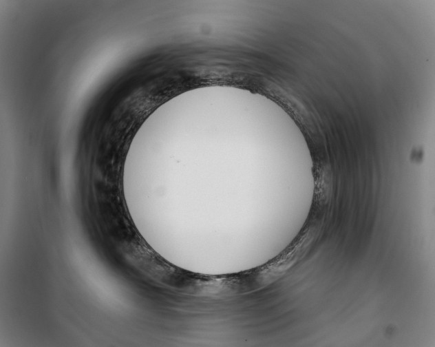 X0000099560430200806061544