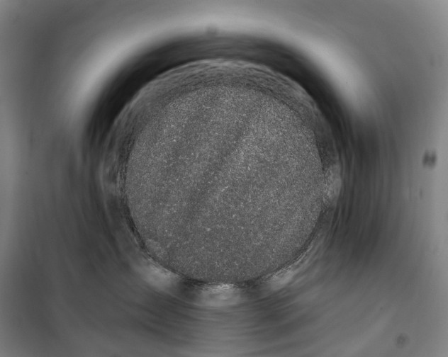 X0000099560431200806061544