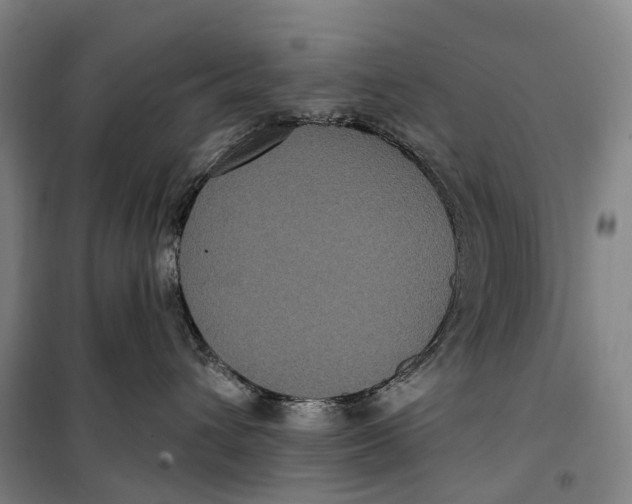 X0000099560432200806061544