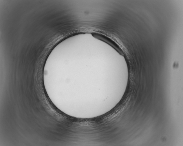 X0000099560433200806061543