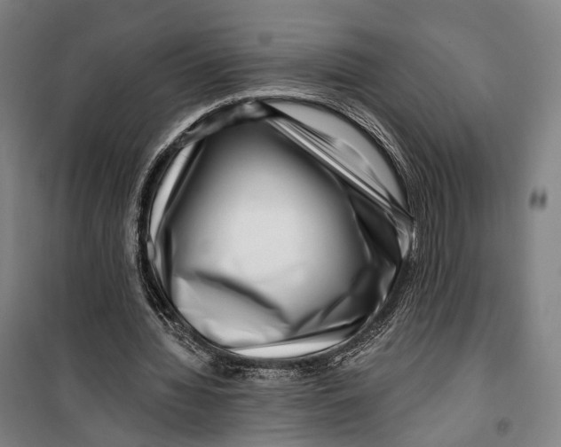 X0000099560436200806061543