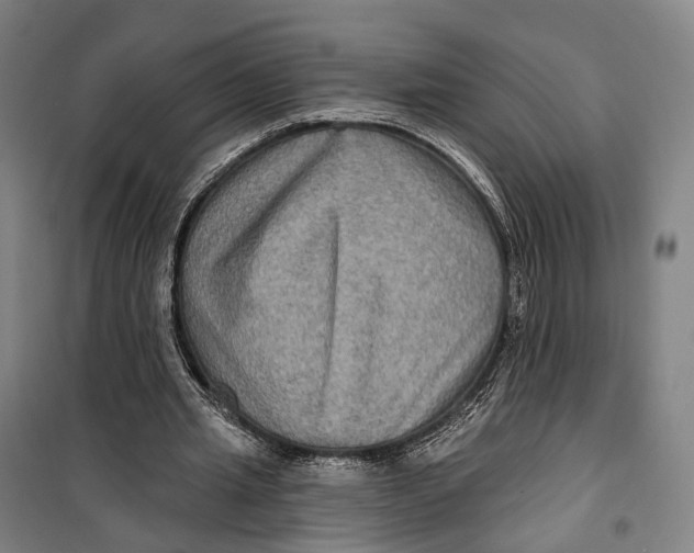 X0000099560437200806061543